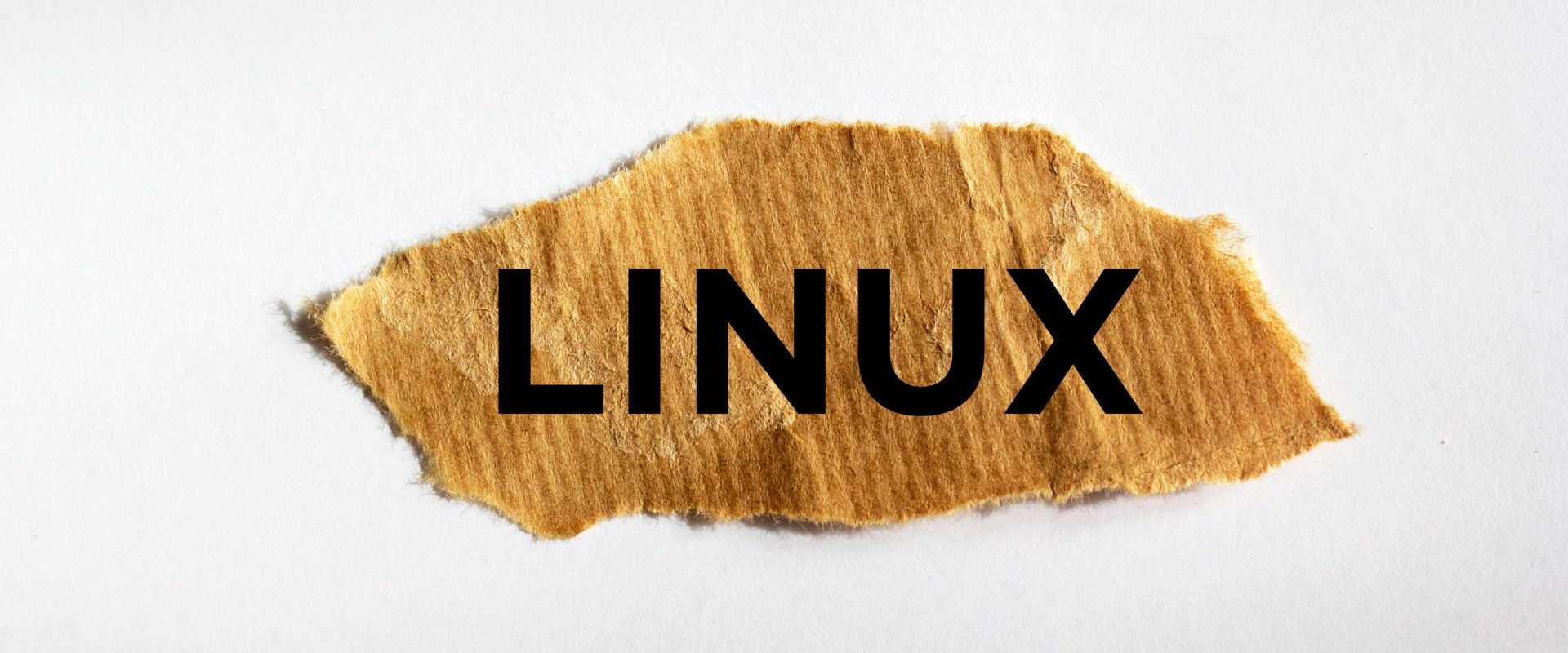 A Beginner's Guide to Understanding Linux