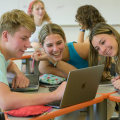 The Role of a School Counselor in Nurturing Students' Interests in Physics, Maths, and Computer Science